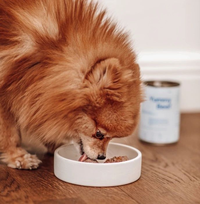 Buddy Yummy Beef Koiran Märkäruoka, 6 X 400g 4 Buddy Yummy Beef Koiran Märkäruoka, 6 X 400g - Image 4