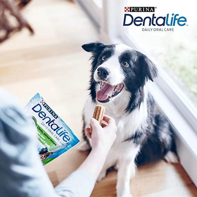Dentalife Medium 15-pack 345 G 2 Dentalife Medium 15-pack 345 G - Image 2