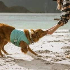 Hurtta Cooling Wrap Koiran Viilennysliivit, 45–55 Cm, Vaaleansininen -Muck Boot Shop hurtta cooling wrap 45 55 aquamarine 2