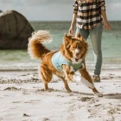 Hurtta Cooling Wrap Koiran Viilennysliivit, 45–55 Cm, Vaaleansininen -Muck Boot Shop hurtta cooling wrap 45 55 aquamarine 3