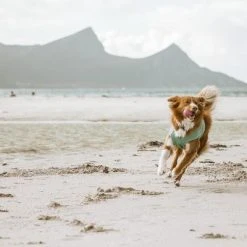 Hurtta Cooling Wrap Koiran Viilennysliivit, 45–55 Cm, Vaaleansininen -Muck Boot Shop hurtta cooling wrap 45 55 aquamarine 4