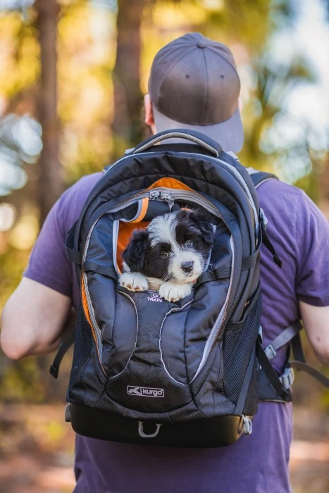 Kurgo G Train K9 Pack Kuljetusreppu, Tummansininen 2 Kurgo G Train K9 Pack Kuljetusreppu, Tummansininen - Image 2