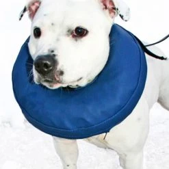 PetNation Iho-/haava-/korvasuihke PetNation Easy Care 100 Ml