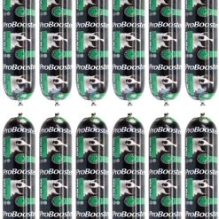 ProBooster Liha-ateria Kalkkuna & Peura X 12