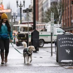 RuffWear Home Trail Hip Pack Vyölaukku, Heliotrope Purple 18 RuffWear Home Trail Hip Pack Vyölaukku, Heliotrope Purple -Muck Boot Shop ruffwear home trail hip pack heliotrope purple 8