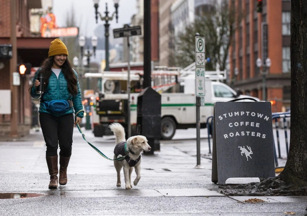 RuffWear Home Trail Hip Pack Vyölaukku, Heliotrope Purple 9 RuffWear Home Trail Hip Pack Vyölaukku, Heliotrope Purple - Image 9