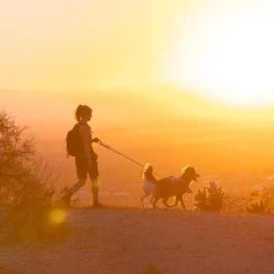 RuffWear Swamp Cooler Harness Viilentävät Valjaat, Pastellinvihreä -Muck Boot Shop ruffwear swamp cooler harness sage green 7