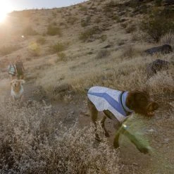 RuffWear Swamp Cooler Neck Gaiter Koirien Viilennyskauluri -Muck Boot Shop ruffwear swamp cooler neck gaiter aurora tealheliotrope purple 3