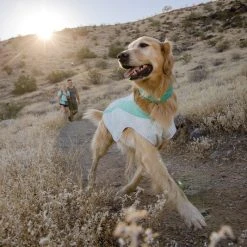 RuffWear Swamp Cooler Neck Gaiter Koirien Viilennyskauluri -Muck Boot Shop ruffwear swamp cooler neck gaiter aurora tealheliotrope purple 4