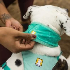 RuffWear Swamp Cooler Neck Gaiter Koirien Viilennyskauluri -Muck Boot Shop ruffwear swamp cooler neck gaiter aurora tealheliotrope purple 6