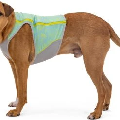 RuffWear Swamp Cooler Zip Vest Koiran Viilentävä Liivi