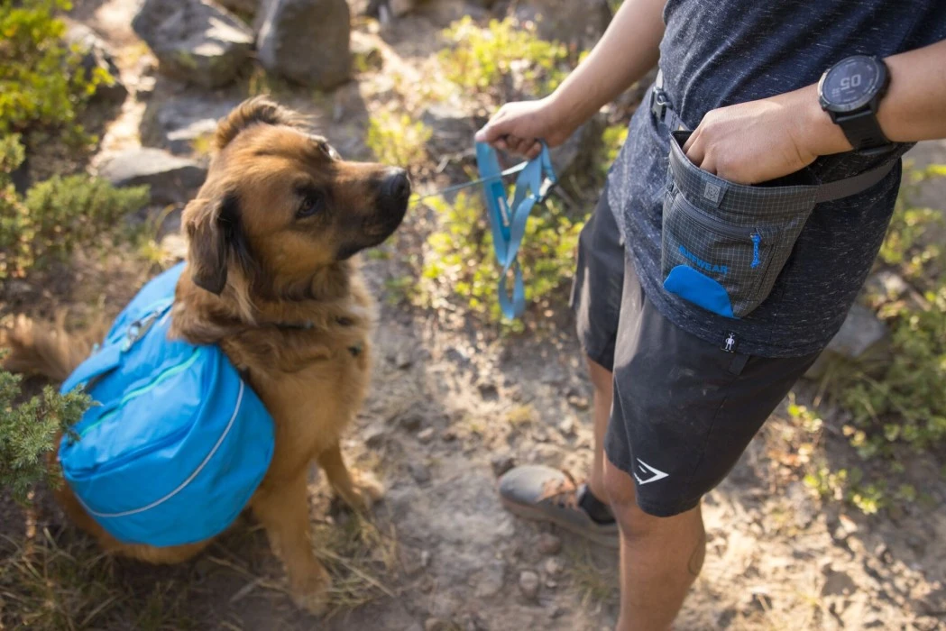 RuffWear Treat Trader Pouch Makupalapussi, Blue Pool 11 RuffWear Treat Trader Pouch Makupalapussi, Blue Pool - Image 11