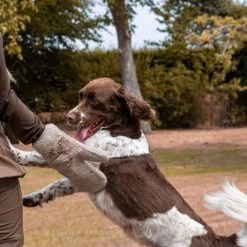 Siccaro Dryglove Kuivauskäsineet, Sand 2 Kpl 7 Siccaro Dryglove Kuivauskäsineet, Sand 2 Kpl -Muck Boot Shop siccaro dryglove sand pair 3