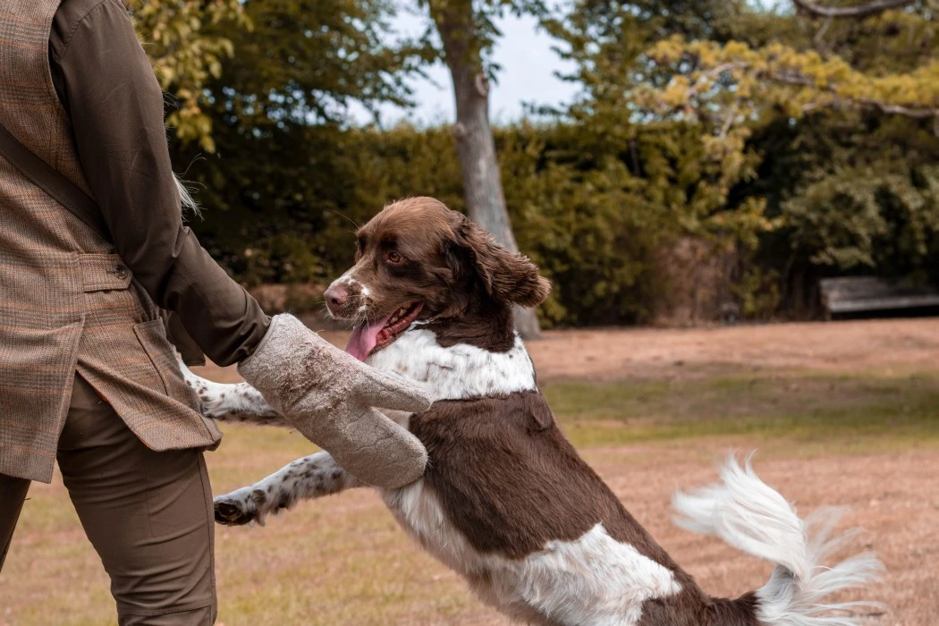 Siccaro Dryglove Kuivauskäsineet, Sand 2 Kpl 4 Siccaro Dryglove Kuivauskäsineet, Sand 2 Kpl - Image 4