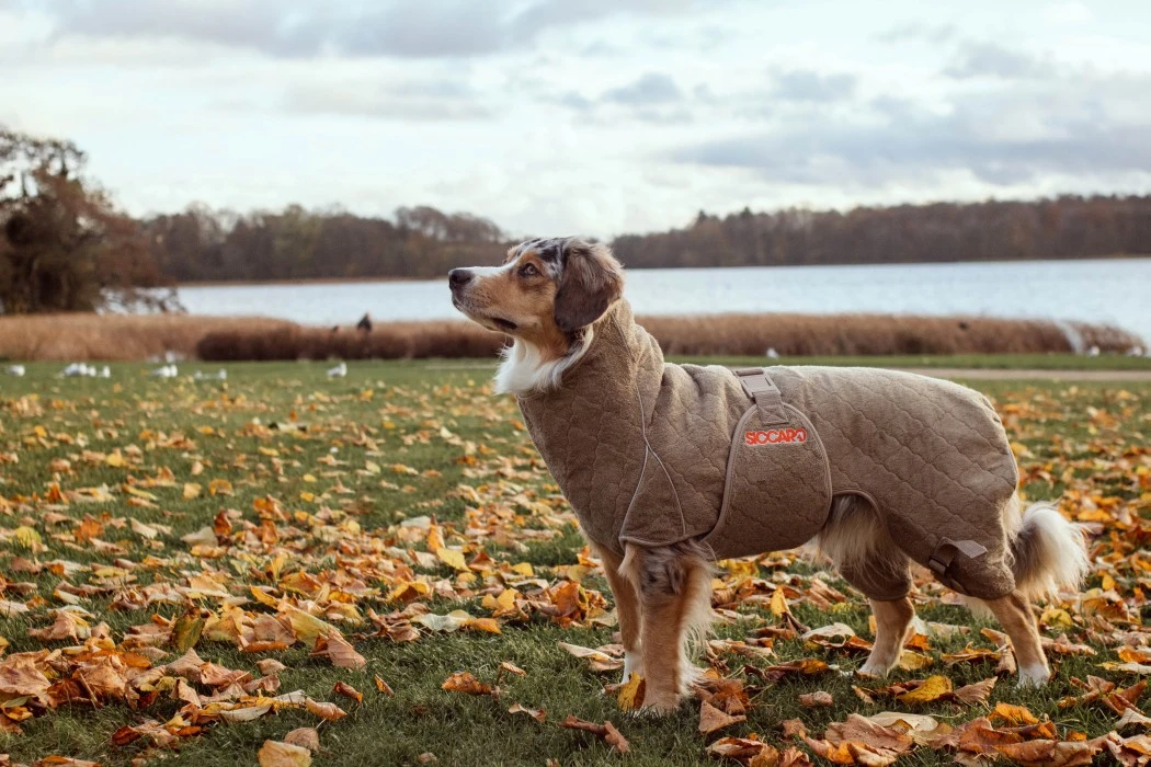 Siccaro Solution Kuivausloimi, Sand 50 (L) 6 Siccaro Solution Kuivausloimi, Sand 50 (L) - Image 6