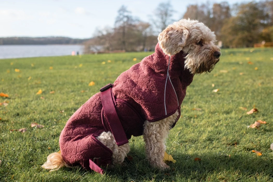 Siccaro Solution Kuivausloimi, Zinfandel Red 50 (L) 3 Siccaro Solution Kuivausloimi, Zinfandel Red 50 (L) - Image 3