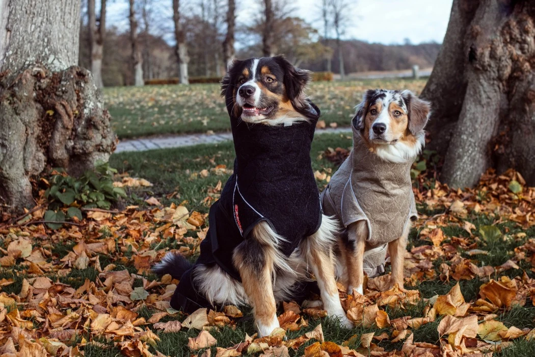 Siccaro Solution Kuivausloimi, Zinfandel Red 60 (XL) 8 Siccaro Solution Kuivausloimi, Zinfandel Red 60 (XL) - Image 8