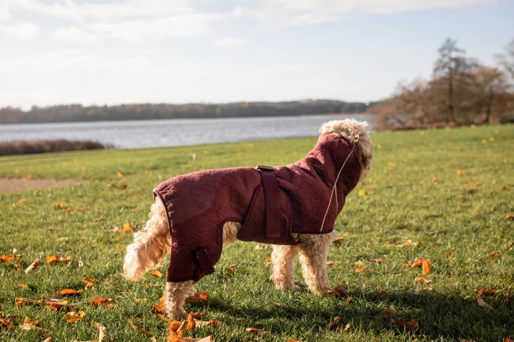 Siccaro Solution Kuivausloimi, Zinfandel Red 70 (XXL) 7 Siccaro Solution Kuivausloimi, Zinfandel Red 70 (XXL) - Image 7