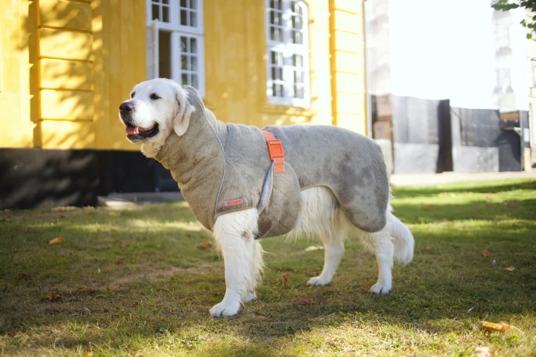 Siccaro SupremePro 2.0 Koiran Kuivausloimi, 60 Cm, Vaaleanruskea 2 Siccaro SupremePro 2.0 Koiran Kuivausloimi, 60 Cm, Vaaleanruskea - Image 2