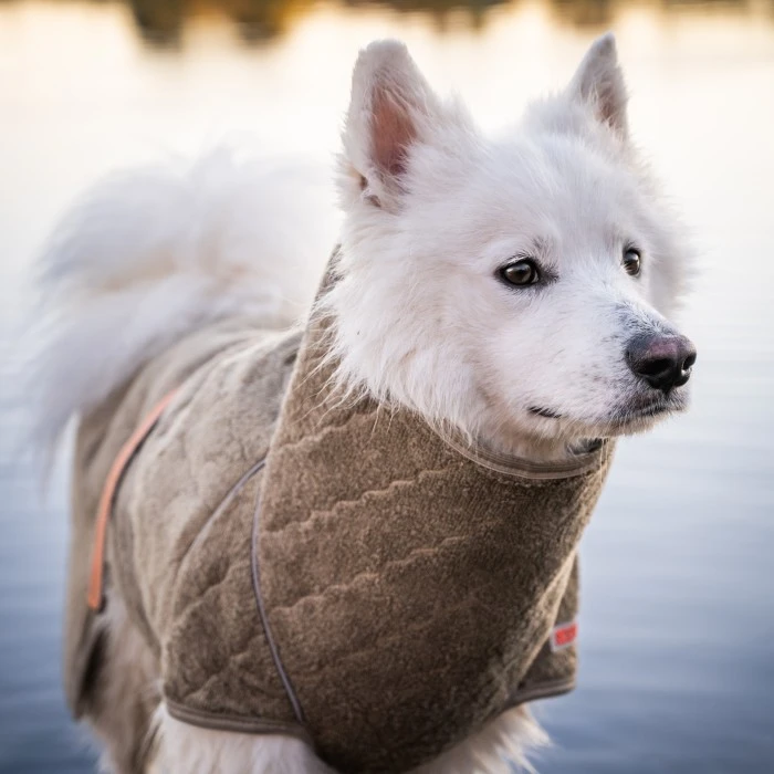 Siccaro SupremePro 2.0 Koiran Kuivausloimi, 60 Cm, Vaaleanruskea 5 Siccaro SupremePro 2.0 Koiran Kuivausloimi, 60 Cm, Vaaleanruskea - Image 5