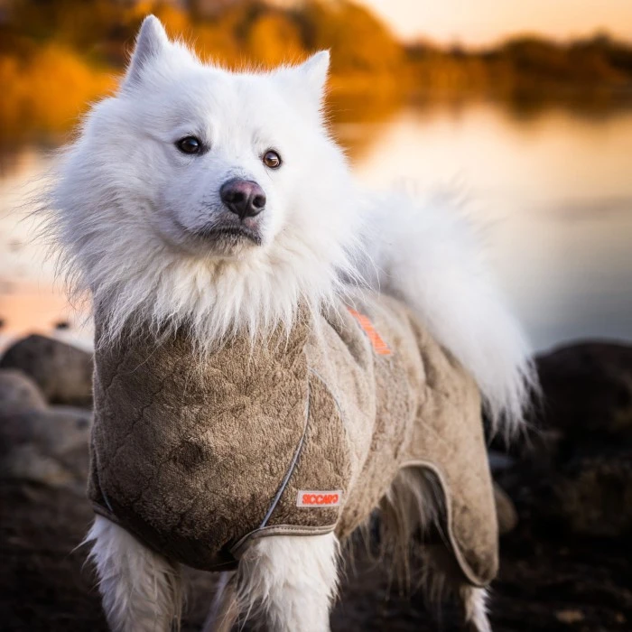 Siccaro SupremePro 2.0 Koiran Kuivausloimi, 70 Cm, Vaaleanruskea 3 Siccaro SupremePro 2.0 Koiran Kuivausloimi, 70 Cm, Vaaleanruskea - Image 3