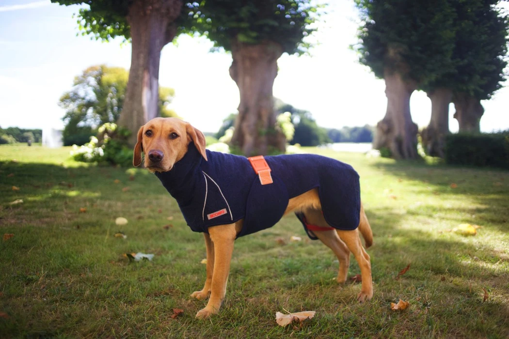 Siccaro SupremePro 2.0 Koiran Kuivausloimi, 60 Cm, Vaaleanharmaa 2 Siccaro SupremePro 2.0 Koiran Kuivausloimi, 60 Cm, Vaaleanharmaa - Image 2