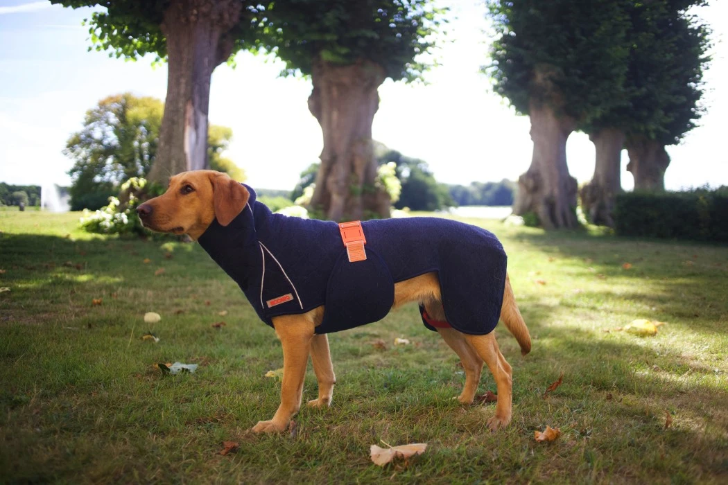 Siccaro SupremePro 2.0 Koiran Kuivausloimi, 60 Cm, Vaaleanharmaa 3 Siccaro SupremePro 2.0 Koiran Kuivausloimi, 60 Cm, Vaaleanharmaa - Image 3