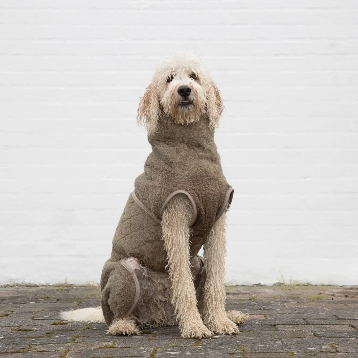 Siccaro WetDog SupremePro Koiran Kylpytakki, M Elmwood 3 Siccaro WetDog SupremePro Koiran Kylpytakki, M Elmwood - Image 3