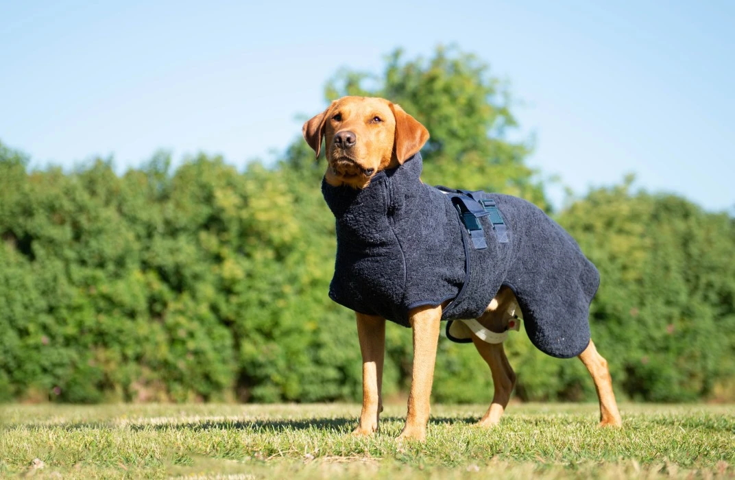 Siccaro WetDog SupremePro Koiran Kylpytakki, XXL Graniitinharmaa 5 Siccaro WetDog SupremePro Koiran Kylpytakki, XXL Graniitinharmaa - Image 5