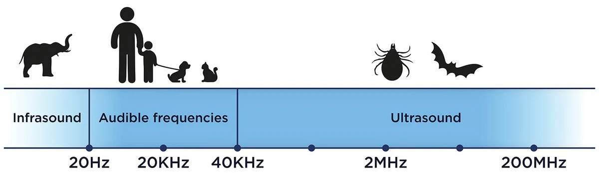 Tickless MINI DOG 9 Tickless MINI DOG - Image 9