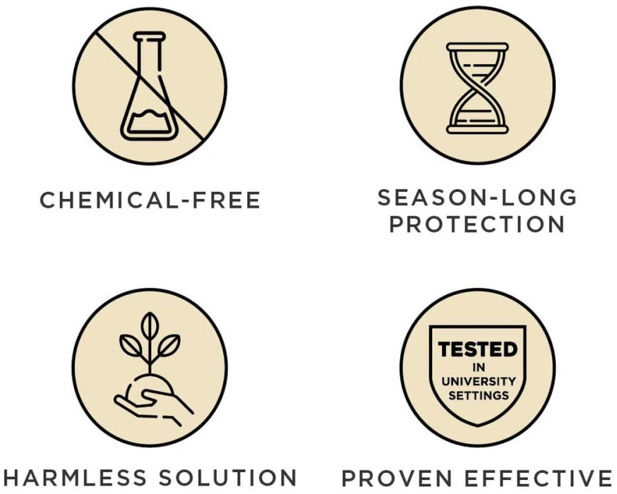 Tickless MINI DOG 8 Tickless MINI DOG - Image 8