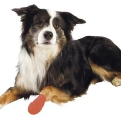 Trixie Bandagebinda Självhäftande 5 Cm/4,5 M 4-pack -Muck Boot Shop trixie bandagebinda sjalvhaftande 5 cm45 m 4 pack 2