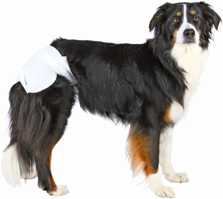 Trixie Narttukoiran Vaipat, M-L 36-52 Cm, 12kpl 2 Trixie Narttukoiran Vaipat, M-L 36-52 Cm, 12kpl - Image 2