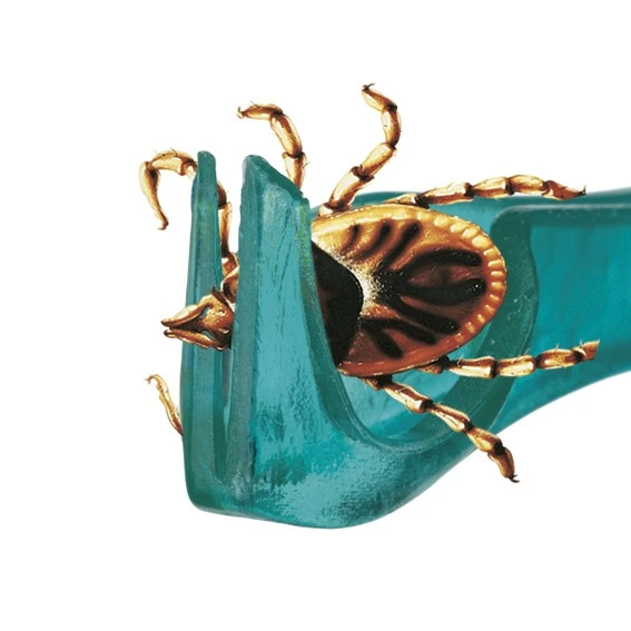 Trixie Tick Away -punkkipihdit, Avaimenperä 5 Trixie Tick Away -punkkipihdit, Avaimenperä - Image 5