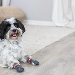 Trixie -koirantossut Liukuesteillä, XS-S, Harmaat, 2 Kpl 5 Trixie -koirantossut Liukuesteillä, XS-S, Harmaat, 2 Kpl -Muck Boot Shop trixie hundsock 2 pack non slip gra xs s 4