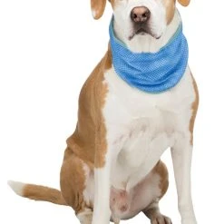 Trixie -viilentävä Huivi, L, 38-52 Cm 5 Trixie -viilentävä Huivi, L, 38-52 Cm -Muck Boot Shop trixie kylbandana pva l 38 52 cm 3