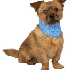 Trixie -viilentävä Huivi, M, 28-40 Cm 5 Trixie -viilentävä Huivi, M, 28-40 Cm -Muck Boot Shop trixie kylbandana pva m 28 40cm 2