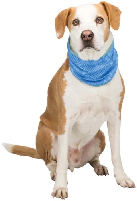 Trixie Jäähdytyshuivi PVA XL 46-56 Cm 2 Trixie Jäähdytyshuivi PVA XL 46-56 Cm - Image 2