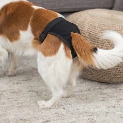 Trixie-narttusuoja, Musta, M 7 Trixie-narttusuoja, Musta, M -Muck Boot Shop trixie tikskydd m 40 49 cm svart 3